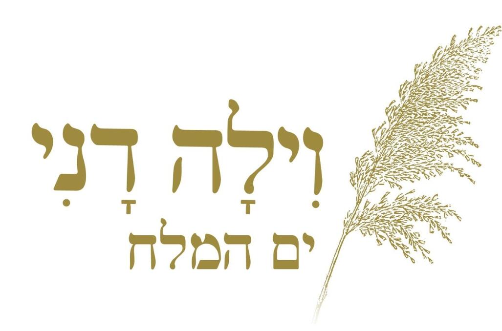 וילה דני - ים המלח, תמונת המקום 2