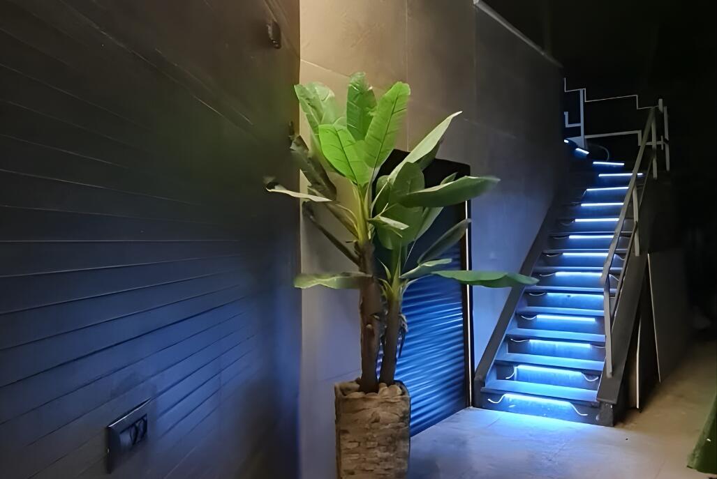 אלת הגליל צפון  12  נופש - וי פור ויקיישן - V for Vacation