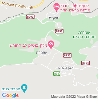 מפה