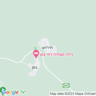 מפה