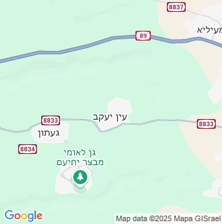 מפה
