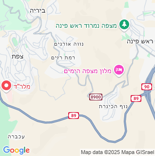 מפה