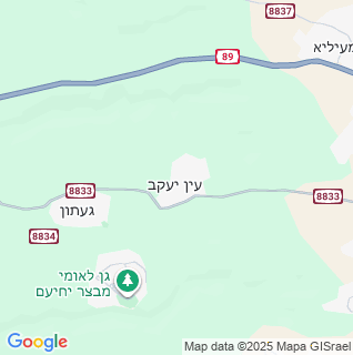 מפה