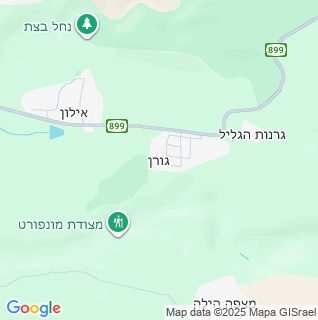 מפה