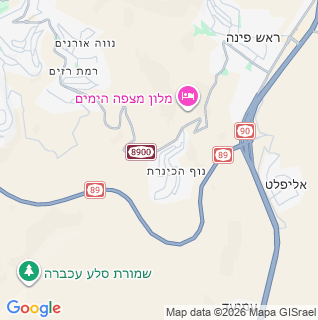 מפה