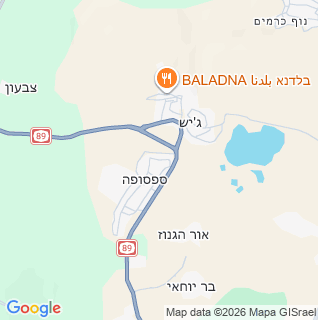 מפה