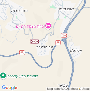 מפה