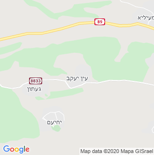 מפה