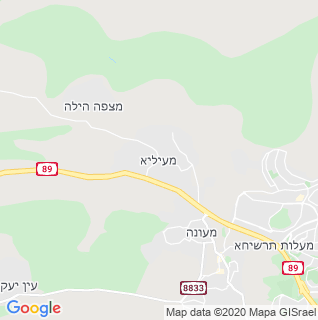 מפה