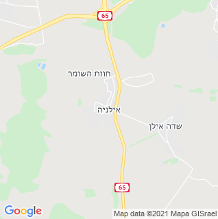 מפה