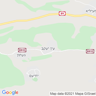מפה