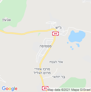 מפה